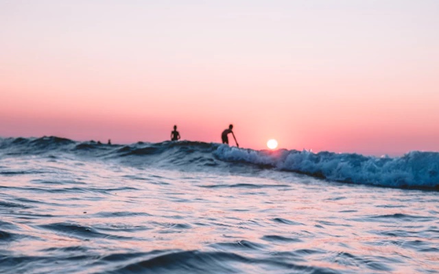 Surfer